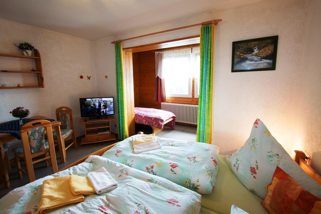 Berggasthof-Pension Todtnauer Hutte Feldberg  Room photo